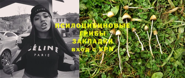 гидропоника Инсар