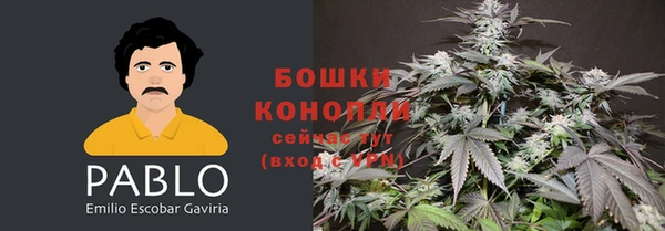 тгк Иннополис