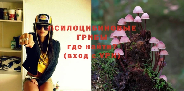 тгк Иннополис