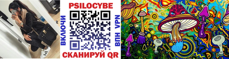 Псилоцибиновые грибы Psilocybe  Купить где  Богородицк 